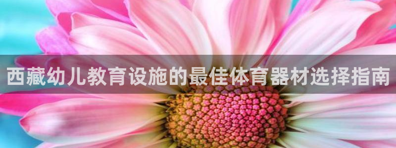 星欧娱乐公司创始人背景故事是什么：西藏幼儿教育设施的